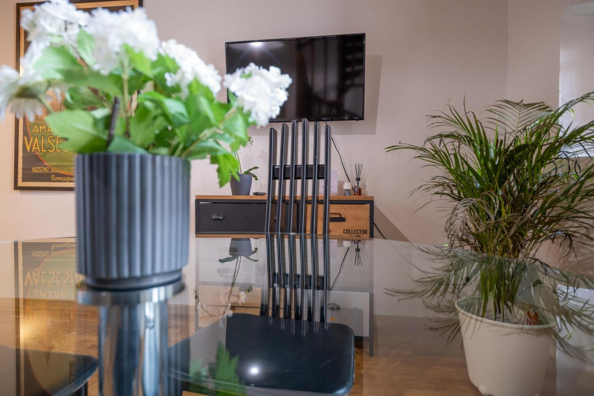 Lungarno Buozzi 7 Apartments Пиза Екстериор снимка